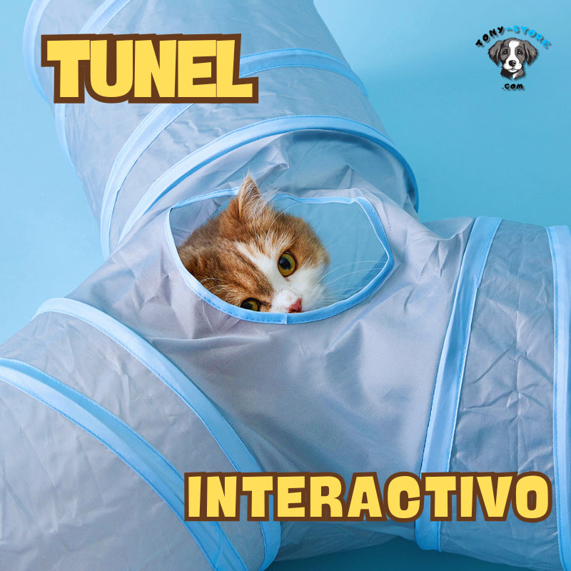 ⭐Juguete en forma de túnel para GATOS🐱