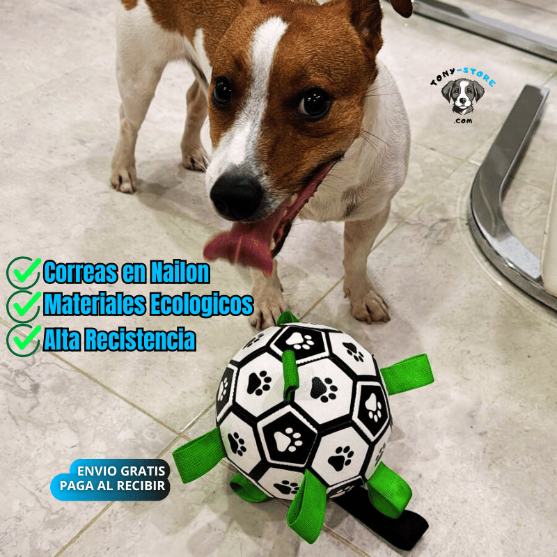 ⚽PawBounce-Pelota de Fútbol para Perros 🐾 Interactiva.